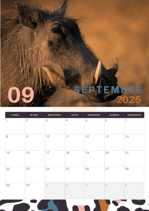 Calendrier mural 2025 - Animaux